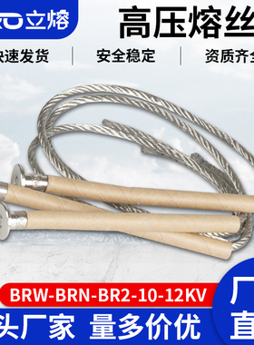 并联电容器熔丝BRN-BRW-BR2-10-12KV/20A25A30A40A50A保护熔断器