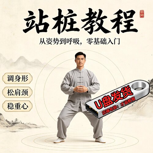 太极站桩视频课程U盘传统养生操健身训练带练八段锦五禽戏优盘