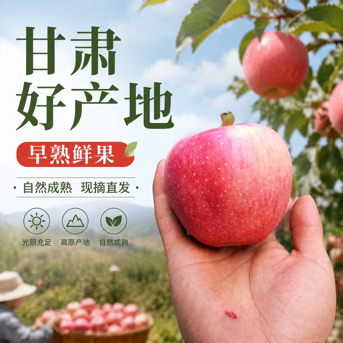 甘肃秦安红富士高海拔果园直发