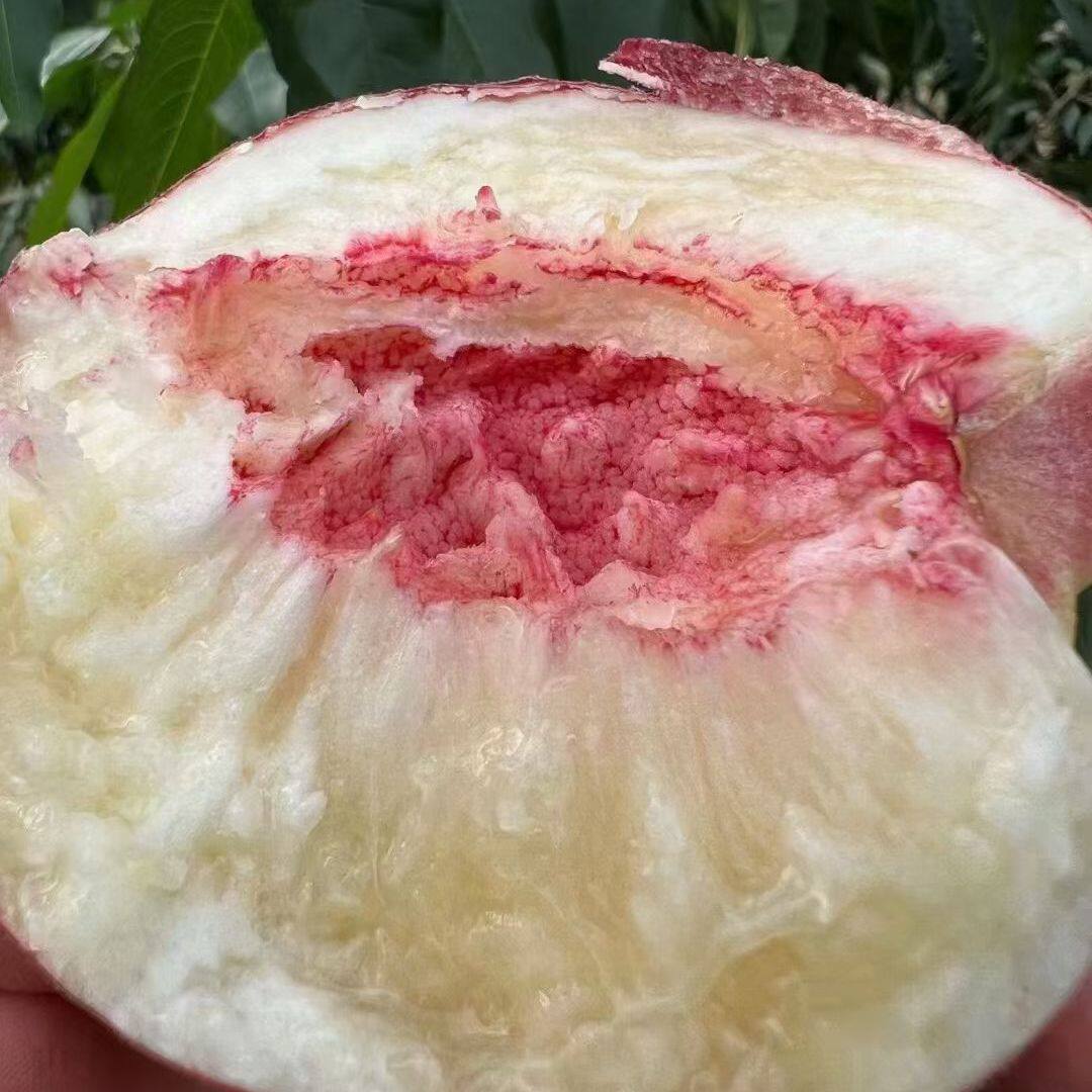 秦安蜜桃新鲜水果当季整箱礼盒装
