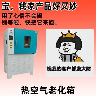 热空气老化箱高温老化箱电线电缆橡胶老化箱热空气循环老化试验箱