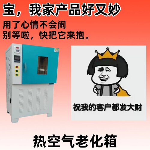 热空气循环老化试验箱