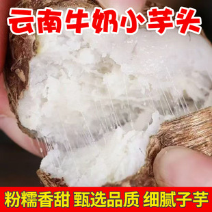 云南牛奶小芋头毛芋头新鲜现挖软糯香甜小香芋软糯香甜细腻粗粮芋