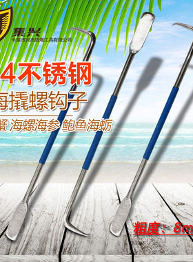 赶海佛手螺藤壶淡菜海虹鲍鱼海螺