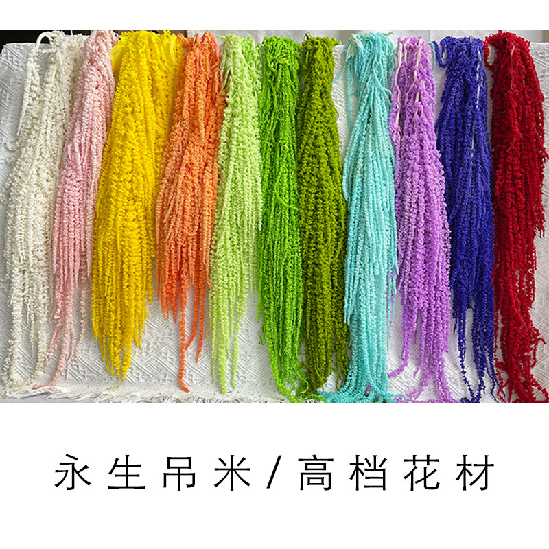 吊米干花垂吊永生花情人泪装饰花永生真花装饰材料花材配花配材