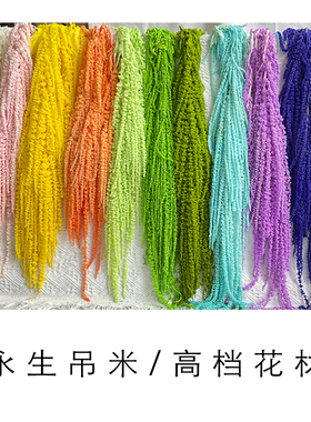 吊米干花垂吊永生花装饰材料