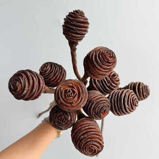 复古文艺进口高档螺旋果蜂蜜棒螺纹果真花干花拍摄道具民宿咖啡
