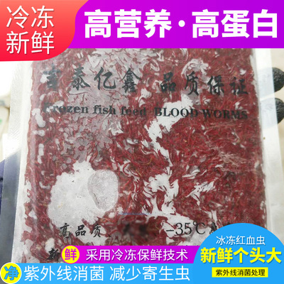 七彩神仙新鲜冷冻小号大鲵鱼饲料
