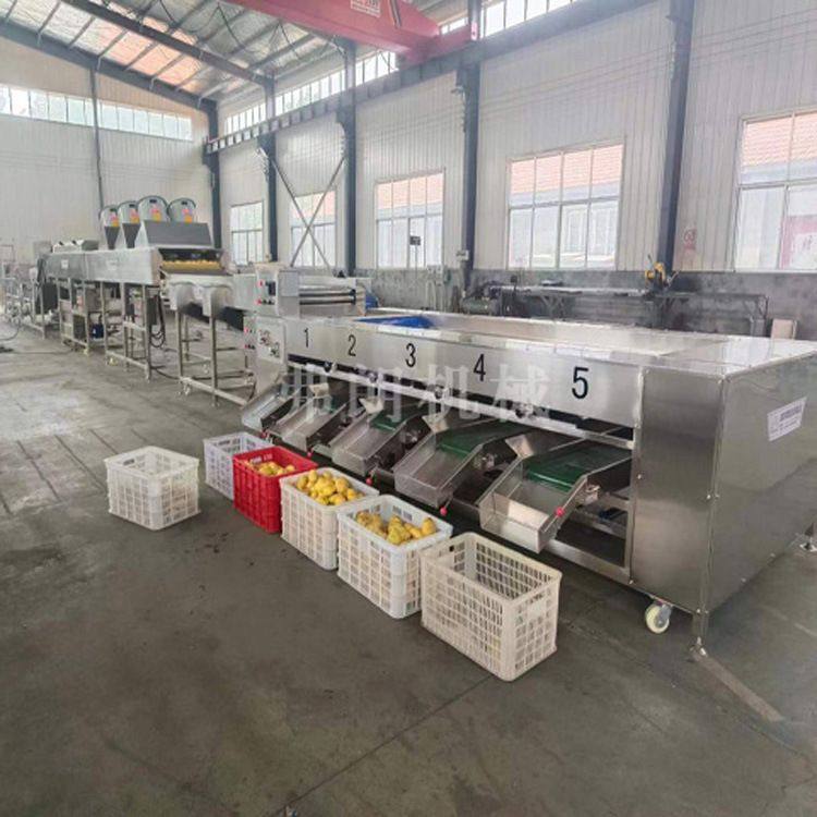 洋葱土豆大小分级机 根茎类农产品分级机 红薯不锈钢滚杠分级机,清洗/食品/商业设备,选果机/分选机,淘宝优惠券,粉丝福利购,淘宝优惠卷