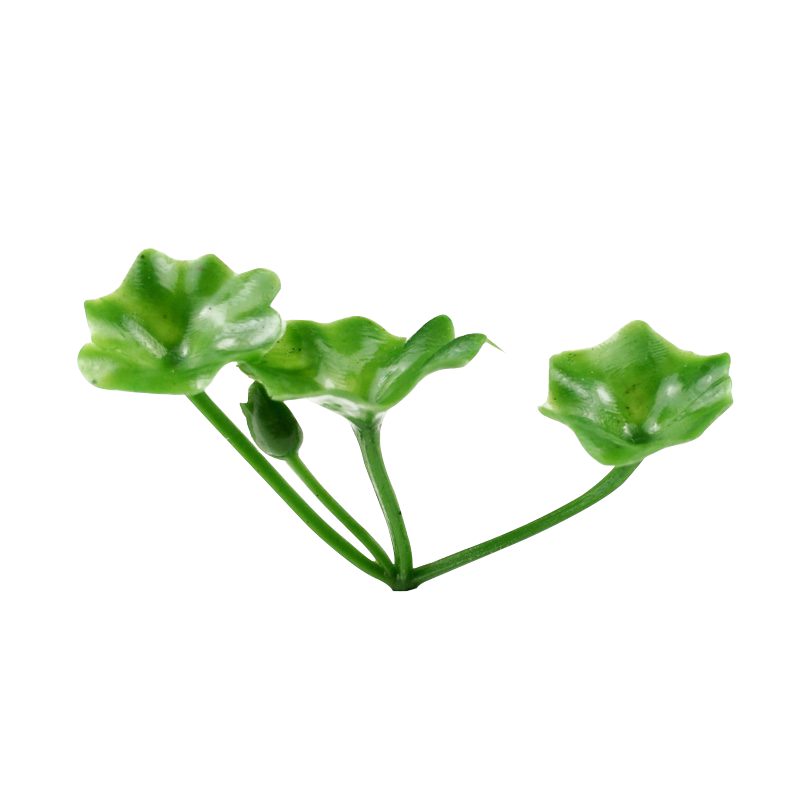 沙盘建筑模型材料景观模型景观植物模型草植被模型花灌木配件材料