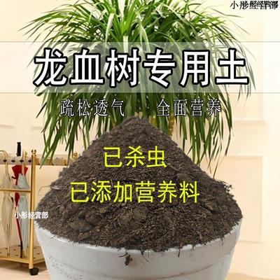 龙须树专用土龙血树营养土盆栽土养花通用种花土壤种植土有机肥料