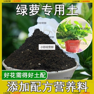 绿萝专用土绿萝专用营养土养花通用型家用种植土绿植有机土壤肥料