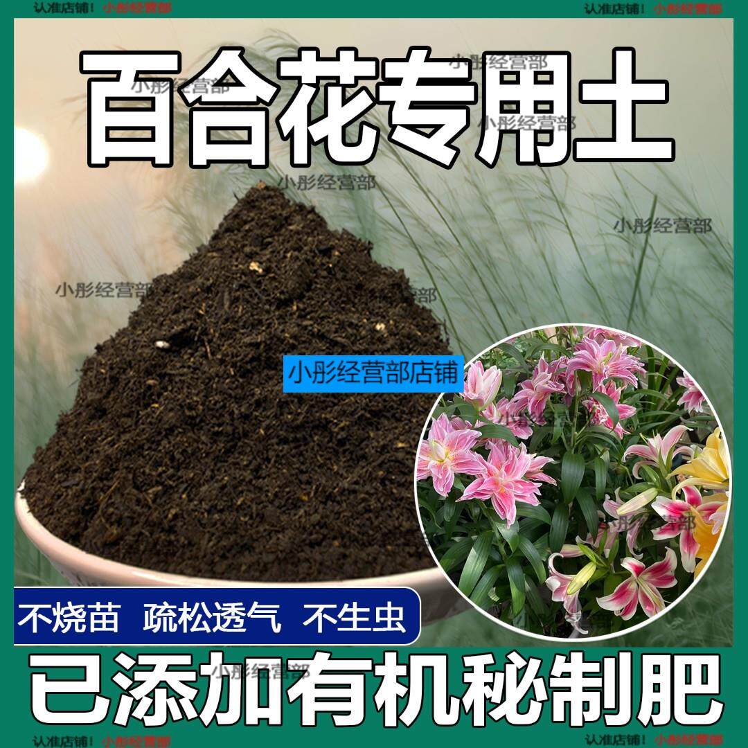 土香水百合花专用营养土营养庭院土壤用品阳台花园养花肥料植物土