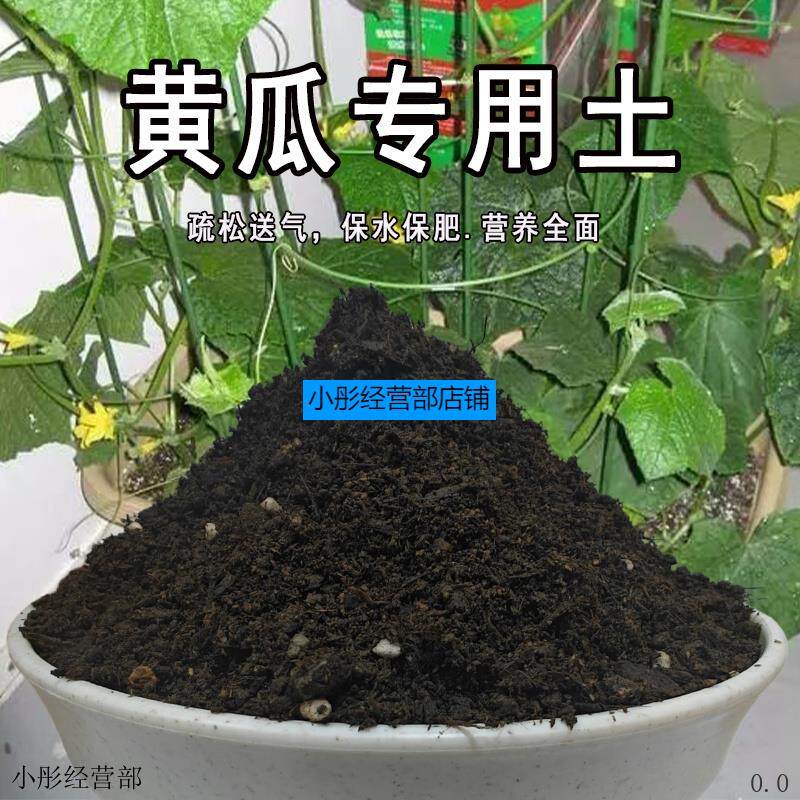 黄瓜专用土家庭盆栽阳台种植蔬菜水果黄瓜小黄瓜肥料有机营养土壤