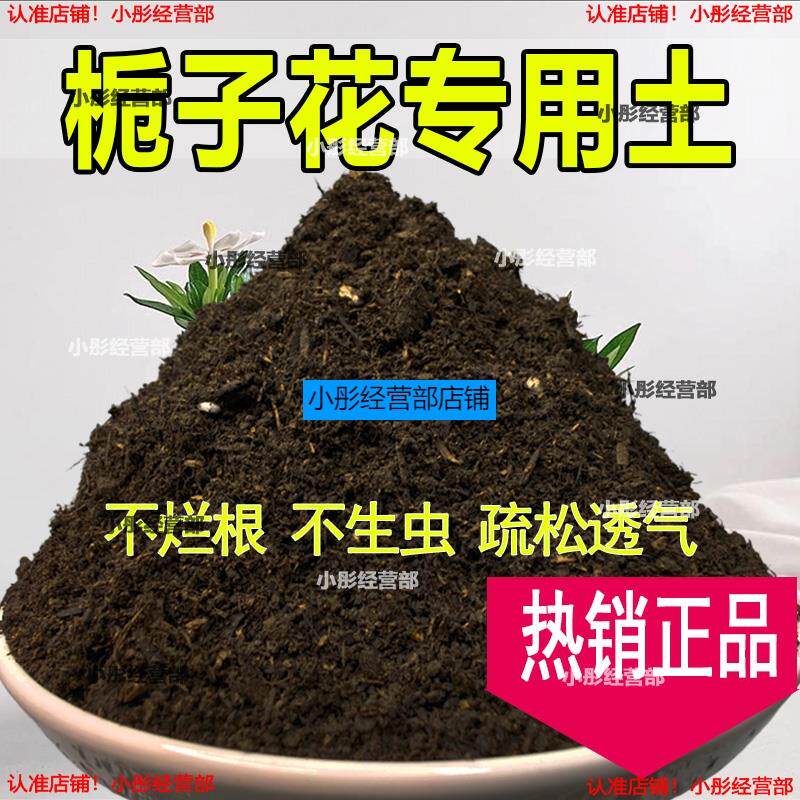 栀子花专用土栀子花专用营养土家庭种植土养花土通用型种花土肥料