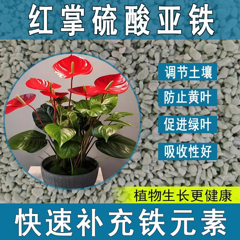 红掌硫酸亚铁花肥料养花绿植通用调节生长喜酸植物专用肥
