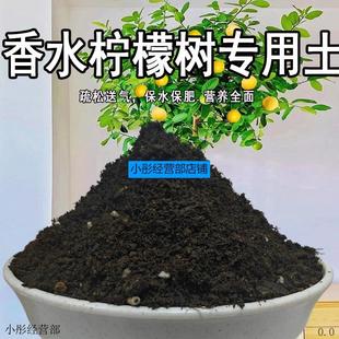 香水柠檬树专用土营养土盆栽土壤果树专用土泥土肥料专用肥种植土
