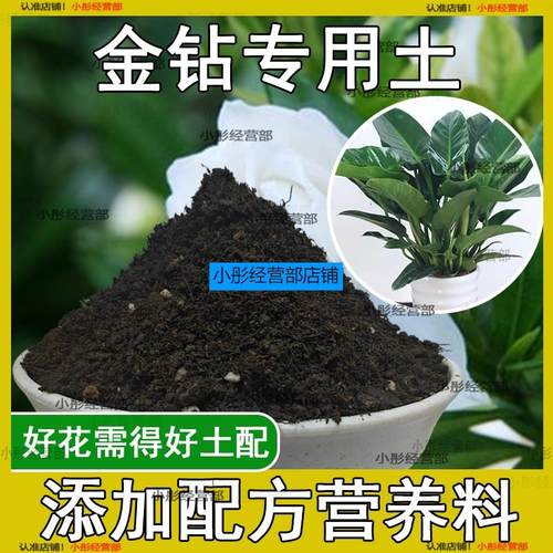 金钻专用土金钻专用营养土盆栽养花绿植种植土肥料通用种花土培
