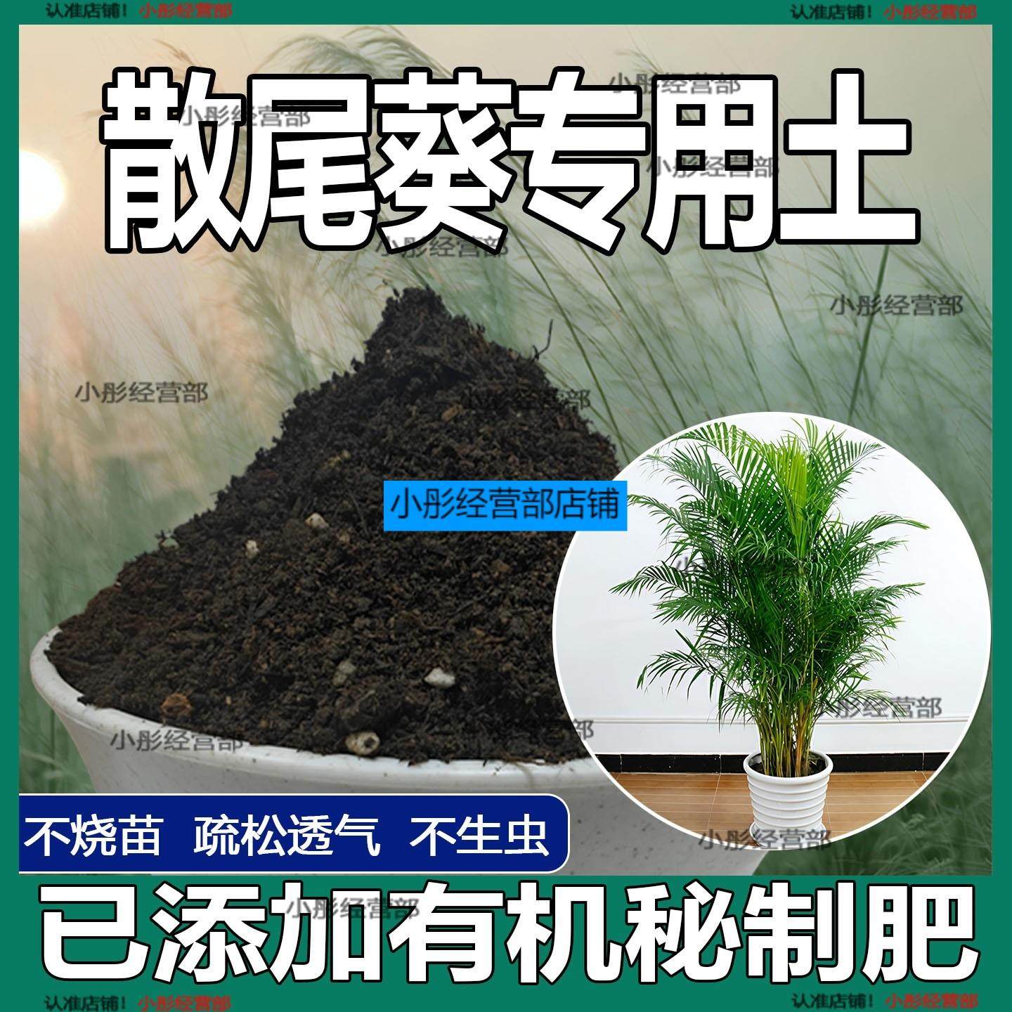 散尾葵专用土家庭盆栽土肥料种花泥土散尾葵营养土专用绿植种植土