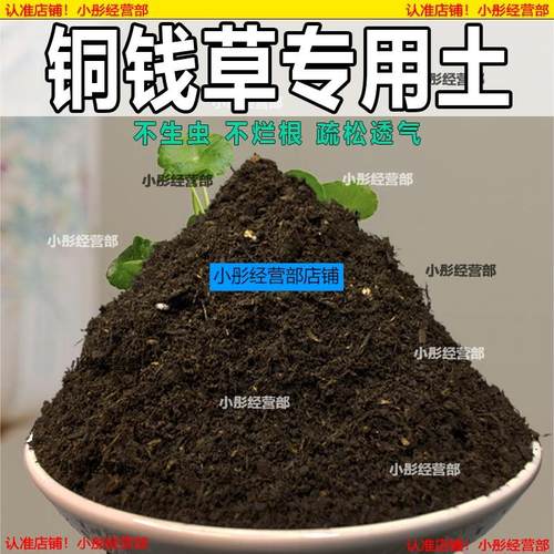铜钱草植物土家庭盆栽养花土通用铜钱草营养土绿植种植土有机肥料