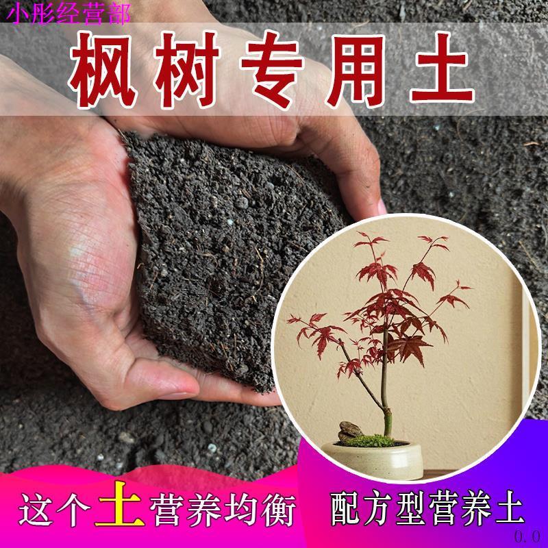 枫树专用土绿植通用营养土有机土盆栽土园艺种植土家用土盆景土壤