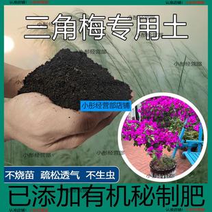 三角梅专用营养土家庭园艺土盆栽通用泥土种植花卉绿植培养土肥料