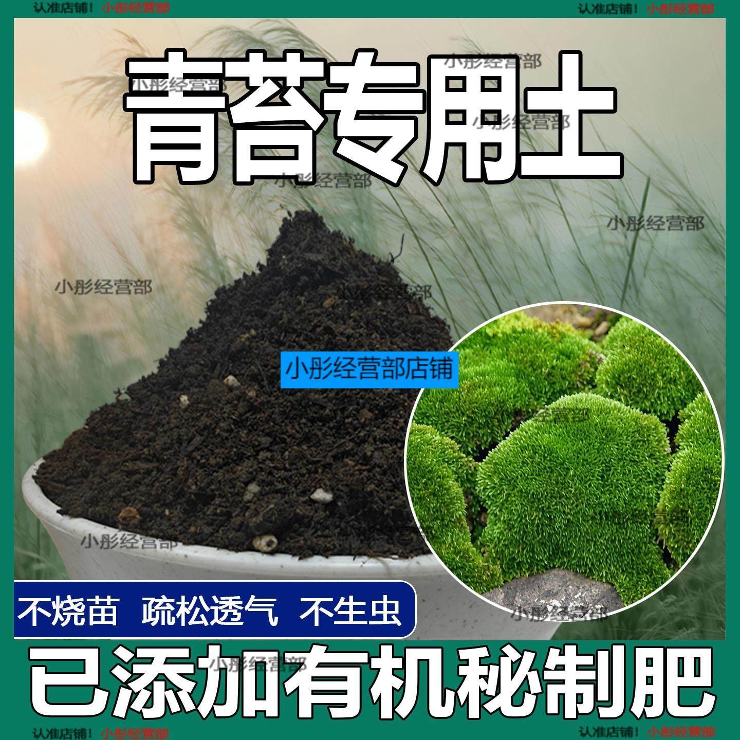 青苔专用土花草种植土壤青苔营养土盆栽种花养花植物肥料有机土