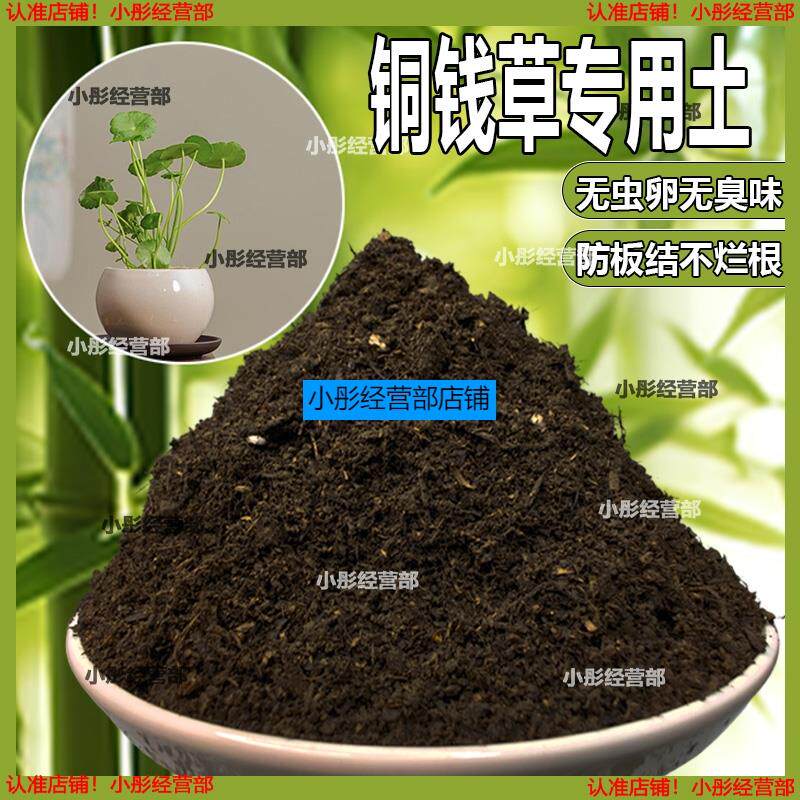 铜钱草植物土家庭盆栽养花土通用铜钱草营养土绿植种植土有机肥料