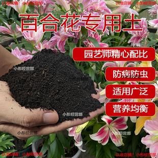 百合花专用土种花养花泥土肥料透气百合花土营养土通用盆栽土种植