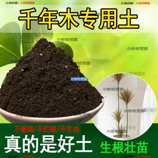 千年木专用土千年木专用营养土盆栽土养花种花土通用种植土壤肥料