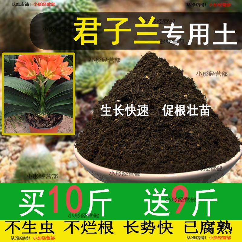 君子兰专用土君子兰专用营养土养花种花土通用种植土有机土壤肥料