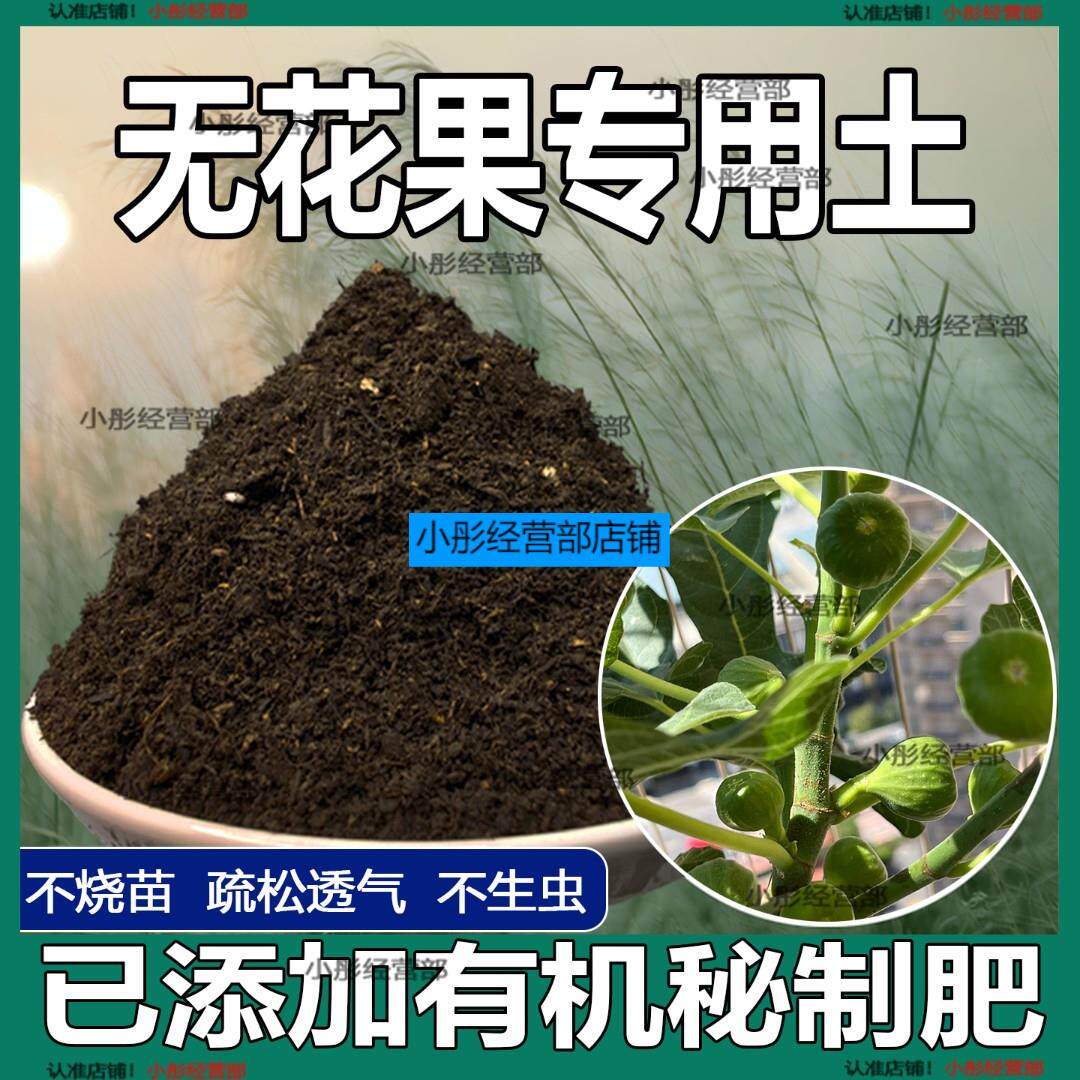 无花果专用土盆栽营养土果树专用土无花果营养土壤种植土有机肥料