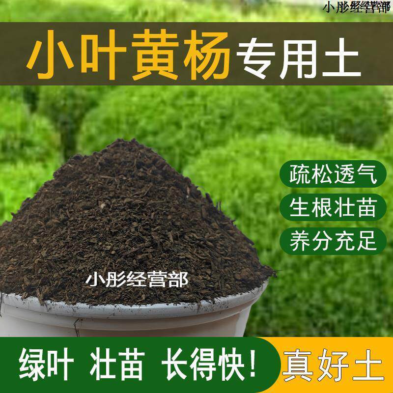 小叶专用土盆栽透气养花种植土小叶黄杨营养土绿植种花有机肥料土