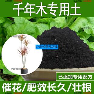 千年木专用土千年木专用营养土酸性土种植土通用土有机土肥料土壤