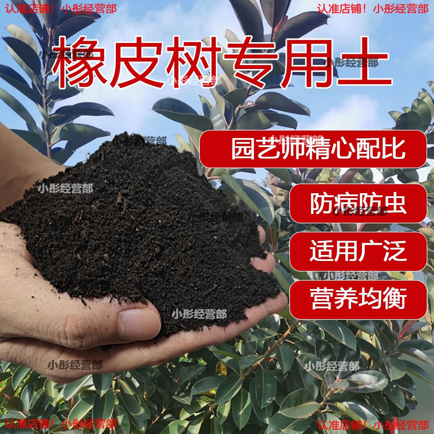 橡皮树专用土养花通用泥土种植土肥料花土盆栽黑金刚橡皮树营养土