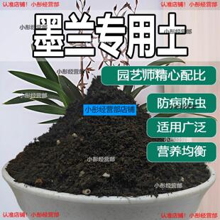 墨兰专用土 墨兰适用土 营养土疏松透气盆栽绿植专用种植土壤肥料
