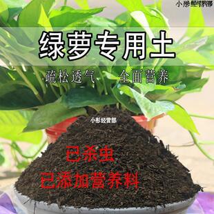 绿箩专用土绿萝专用营养土养花通用型家用种植土绿植有机土壤肥料