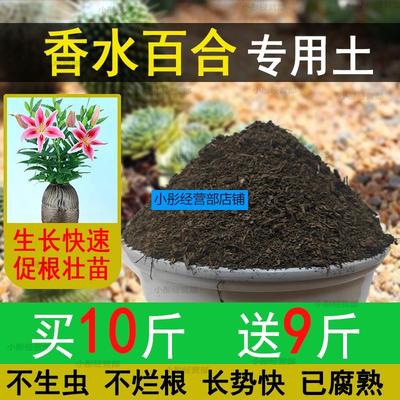 香水百合专用营养土 香水百合专用土 盆栽花土种花养花种植土壤