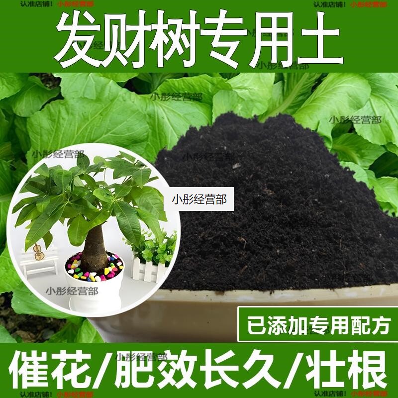 发财树专用土发财树专用营养土酸性土种植土通用土有机土肥料土壤