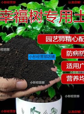 幸福树专用肥料泥土种植土种幸福树专用土营养土养花专用通用土壤