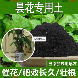 昙花专用土昙花专用营养土酸性土种植土通用土有机土肥料养花种花