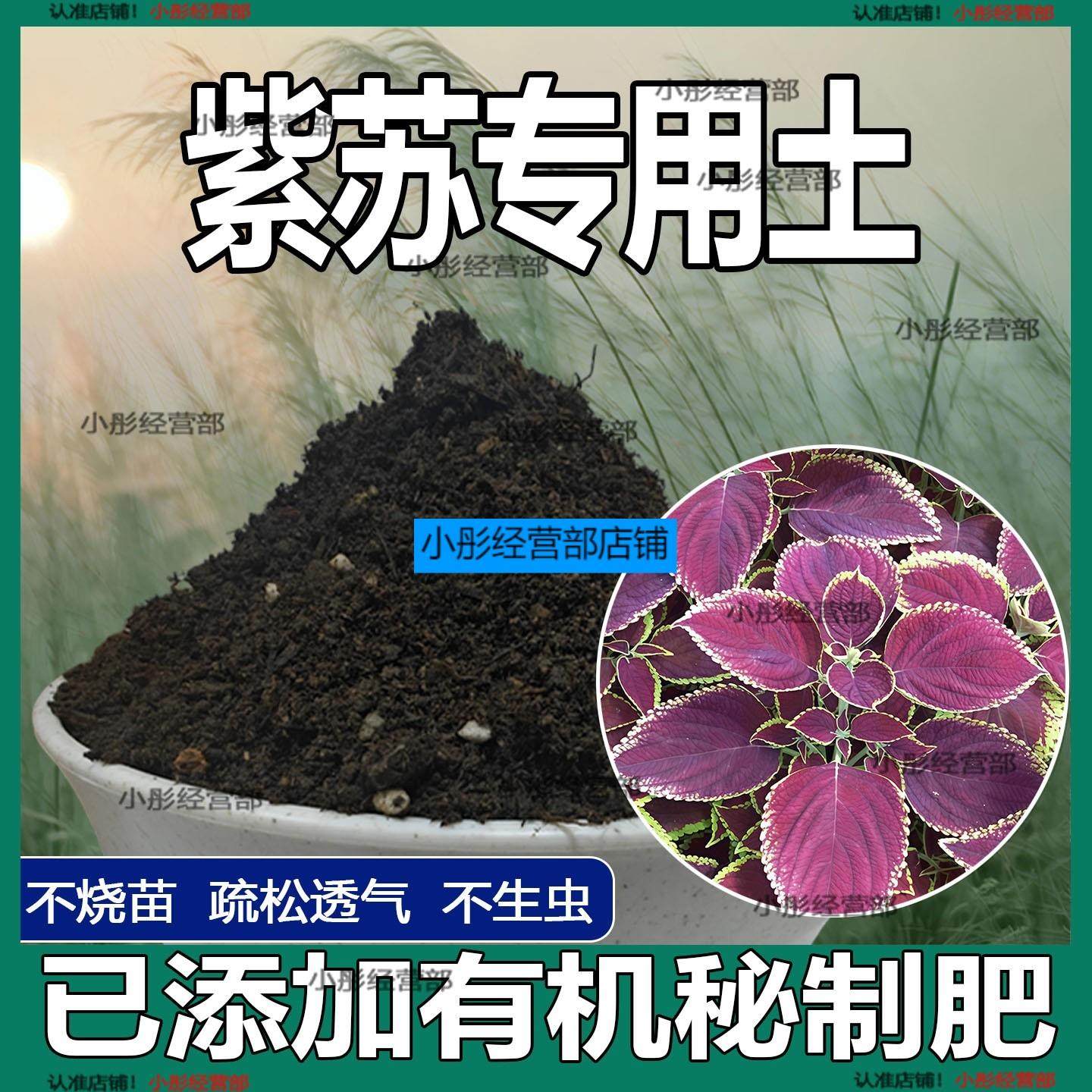 紫苏专用土盆栽透气种菜种植土紫苏营养土蔬菜通用有机肥料土壤