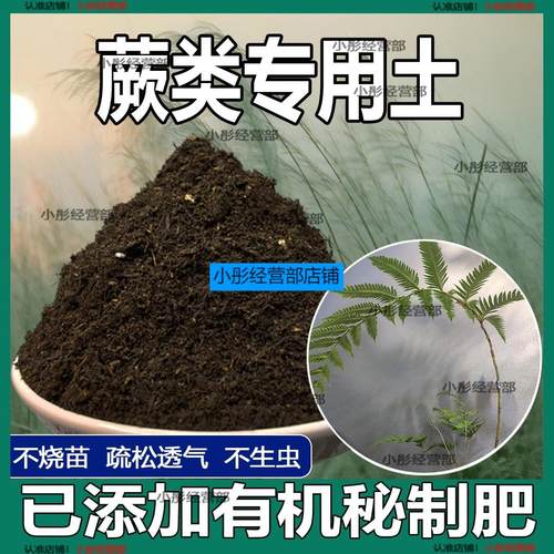 蕨类专用土蕨类植物优质土家用盆栽营养土酸性沙质土壤绿植种植土