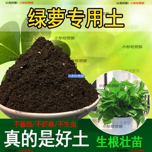 绿萝专用土长藤垂吊植物通用土壤营养土种花土有机肥料花卉种植土