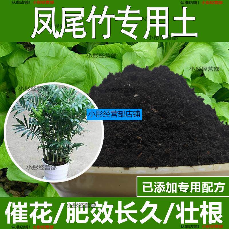 凤尾竹专用土凤尾竹专用营养土酸性土种植土通用土有机土肥料土壤