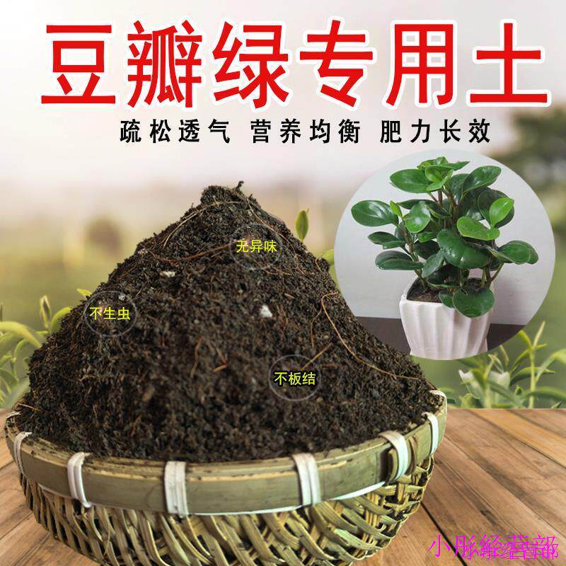 豆瓣绿专用土豆瓣绿营养土家用种植土壤家庭盆栽种花养花有机土