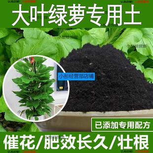 大叶绿萝专用土大叶绿萝专用营养土酸性土种植土通用土有机土肥料