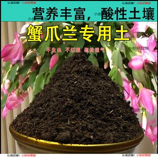 蟹爪兰专用土盆栽酸性土园艺家用营养土壤种植土通用土有机土肥料
