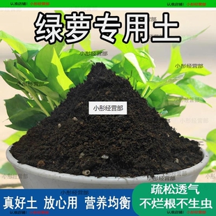绿萝专用土绿萝专用营养土养花通用型家用种植土绿植有机土壤肥料
