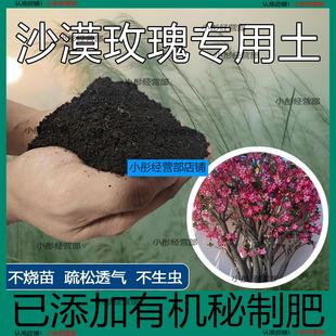 沙漠玫瑰专用土养花盆栽土沙漠玫瑰营养土种植土肥料微酸性土壤